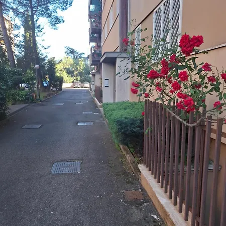 Carpe Diem * Roma